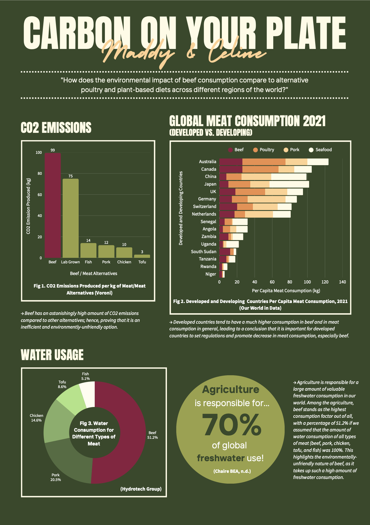 Carbon on Your Plate — Beef vs. alternative diets